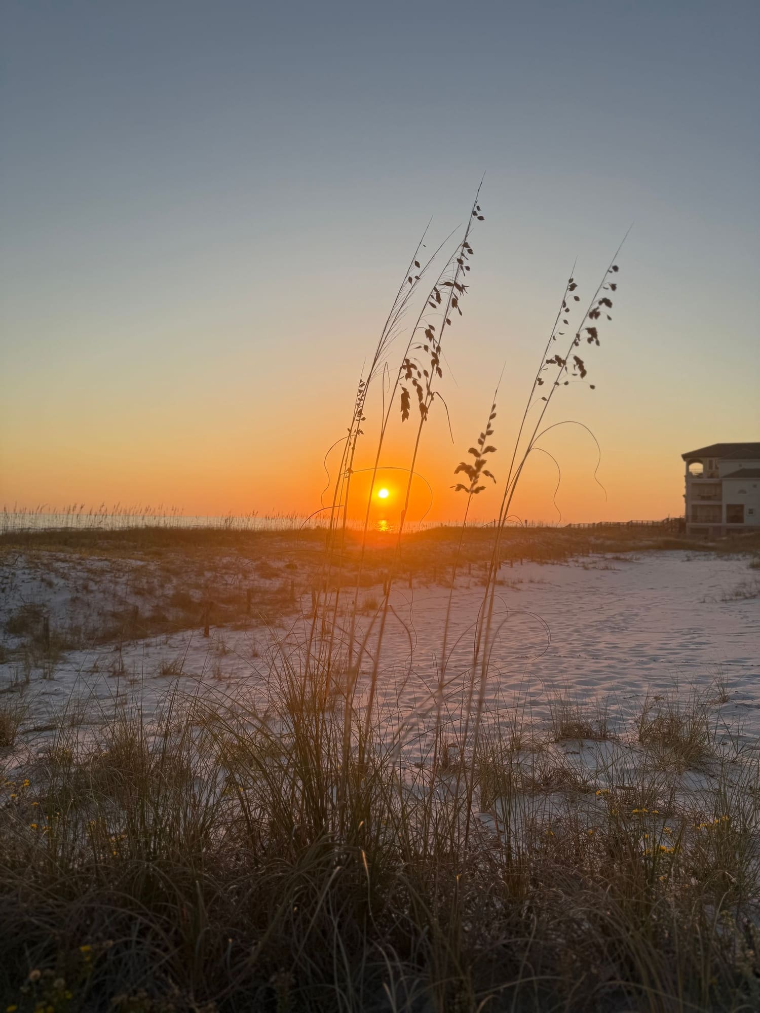 Sunrise over coastal marshland with sea oats silhouetted against orange sky and beachfront building